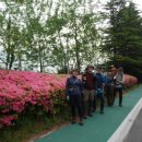 영랑호수공원 이미지