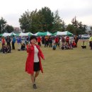 일로초등학교 이미지