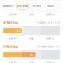 메디온 | [찐 내돈내산] 다낭성난소증후군의 메디온 이노시톨 2개월 복용 후기 : 생리주기 돌아오는 중