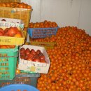 금주농장 이미지