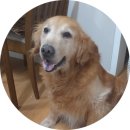 김해동물약국 이미지