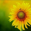 정왕종합사회복지관 이미지