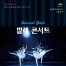 청양문예회관 기획공연<발레 콘서트> 이미지