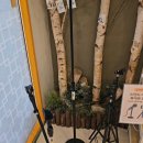 도원 노래연습장 이미지