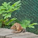 월광농원 이미지