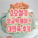 오설기 | 소오설기 떡케이크_환갑케이크, 상견례 선물, 부모님 선물 금천구떡케이크 추천(민생지원금 사용처)