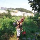 이안농장 이미지