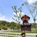 지효목장 이미지