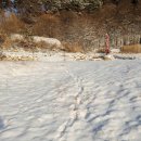 지리산아침 이미지