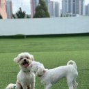 소답동139 이미지