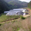 통화농장1 이미지