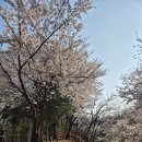 정평공원 이미지