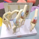 여수동물병원 이미지