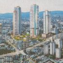 감삼동339 이미지