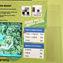 스카이라인 | 싱가포르 액티비티 센토사 스카이헬릭스와 스카이라인 나이트루지 체험 후기