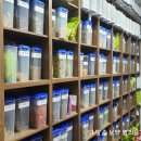 새경희한의원 이미지