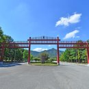 홍문(紅門) 네이버블로그