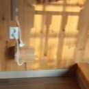 쥬라기카라반 이미지