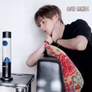 디짐 Daum카페