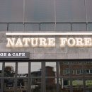 포레스트문 이미지