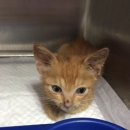 상수2(여) 이미지