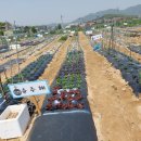 주혜농장 이미지