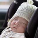 아기랑 제주여행 2일차(고집돌우럭, 터틀락, 화산)