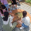 우리도자연예술가 이미지