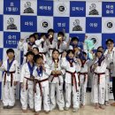 용인대 대한 태권도장 이미지