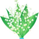 퍼블리코 이미지