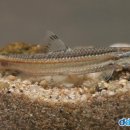 농부의 아들 이미지