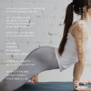 명상과 함께하는 힐링 요가 이미지