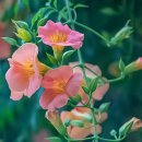 부천시청역 2번출구 이미지