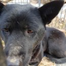 유리마을회관 이미지