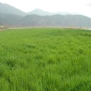 대산목장 이미지