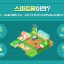 스마트