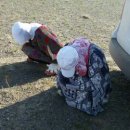 신장개업 이미지