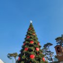 링크타운 | 잠실 크리스마스마켓 예약 링크 현장 웨이팅 푸드 후기 (2025 롯데 타운)