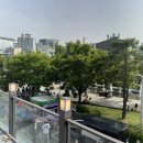 엔젤로니아플라워 - 14637 | 연남동꽃집::경의선숲길 해리스플라워 내돈내산 후기