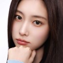 스나이델 카카오 검색결과