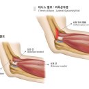 경희동서한의원 이미지