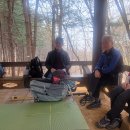 우면산3-29 이미지