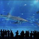 성터민박 이미지