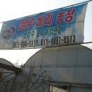 샘골목장 이미지