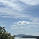 날아라 햄찌 이미지