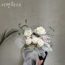 시연화다 네이버블로그