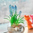 서울지향초등학교 이미지