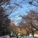 한동대학교 | 한동대로스쿨/한동대학교 국제법률대학원(Handong...Law School) 준비과정 및 합격수기 #4; 면접&amp;시험 후기