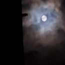 셀렉토커피 아산모종점 이미지