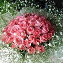 염포로R Daum카페